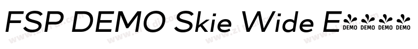 FSP DEMO Skie Wide E字体转换